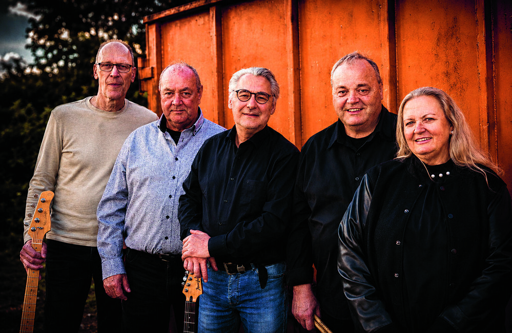 De Leuke Liedjes Band