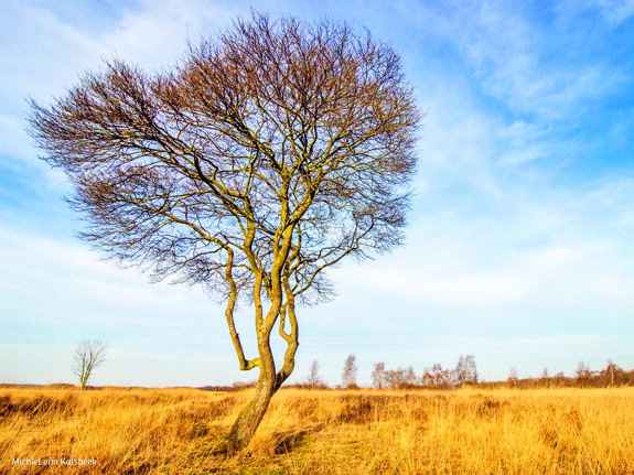 Cursus natuurfotografie IVN 3.jpg