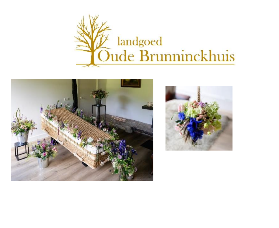 Schermafbeelding 2026-06-17 om 13.38.53