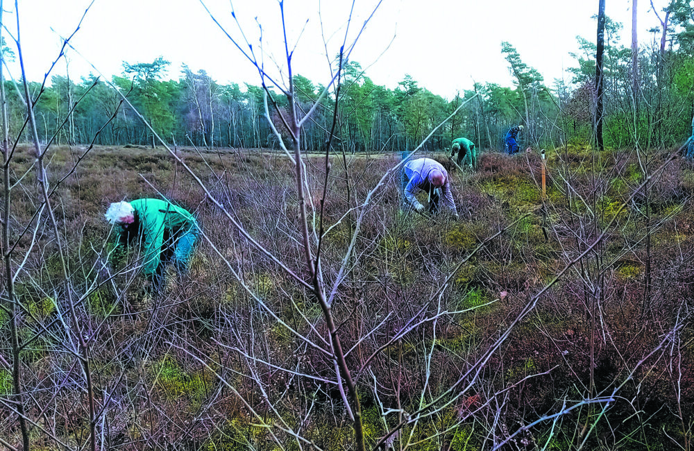 Nwo Het Hulsbeek IVN!.jpg