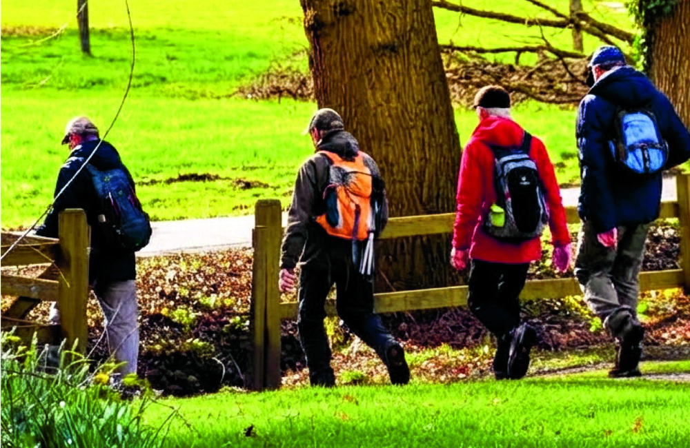 Natuurwandelgids gezocht